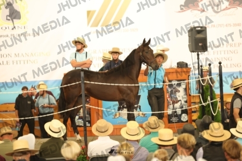 JHM_2059