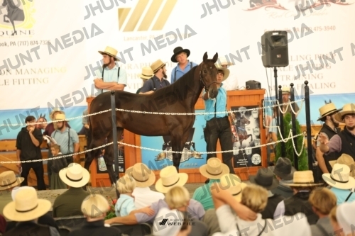 JHM_2066