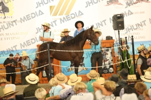 JHM_2067