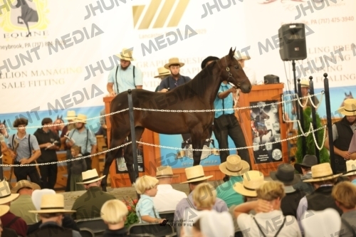 JHM_2069