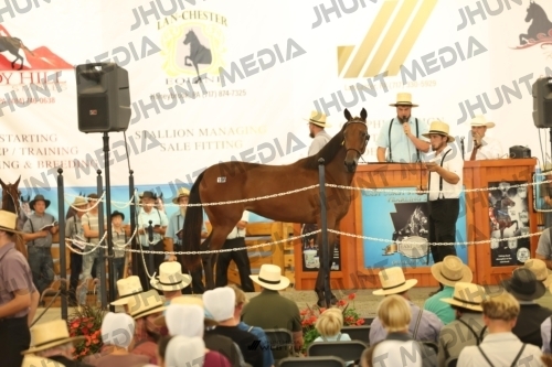 JHM_2592