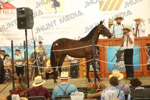 JHM_3513