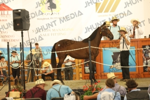 JHM_3514