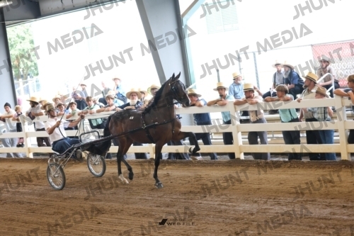 JHM_0750