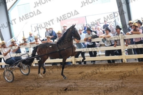 JHM_0751