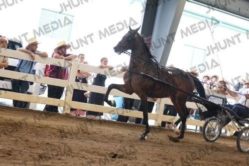 JHM_0759