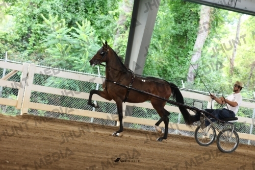 JHM_0762