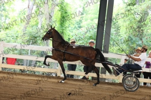 JHM_0764