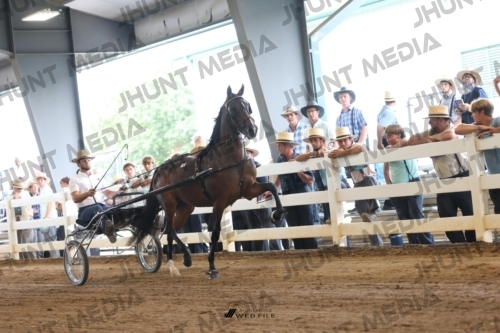 JHM_0765