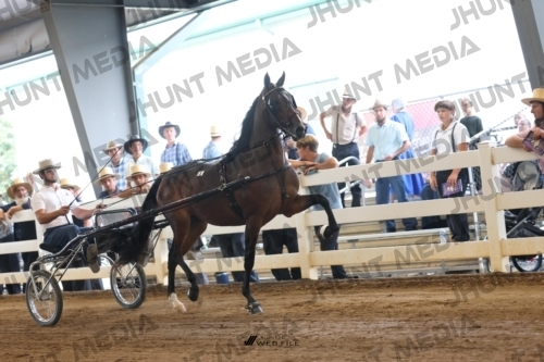 JHM_0766