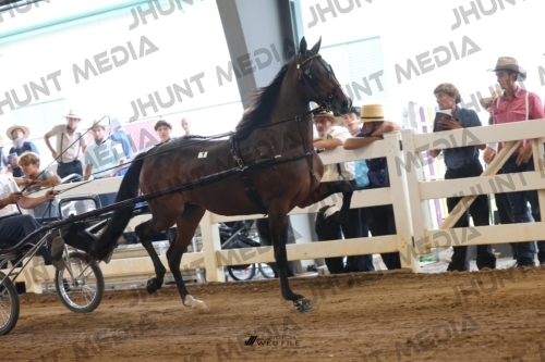 JHM_0767