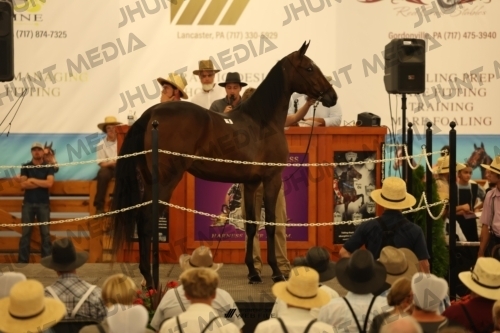 JHM_0773