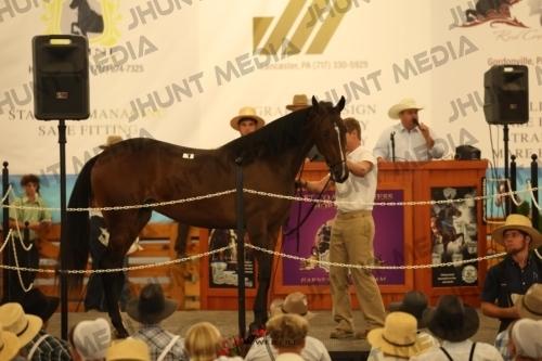 JHM_0777