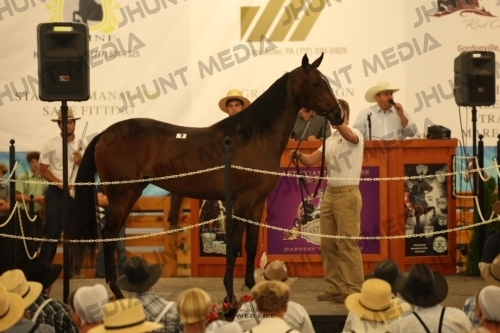 JHM_0778