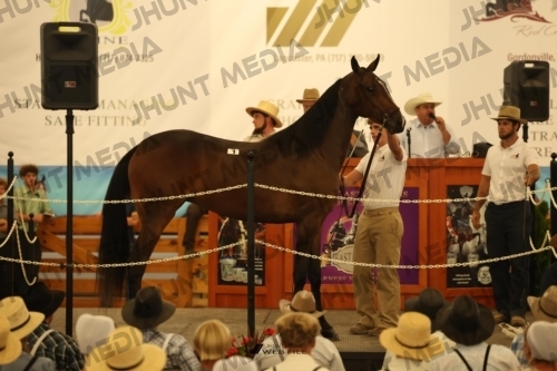 JHM_0783