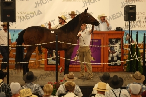 JHM_0786