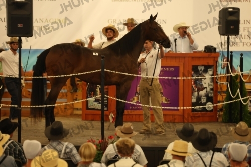 JHM_0787