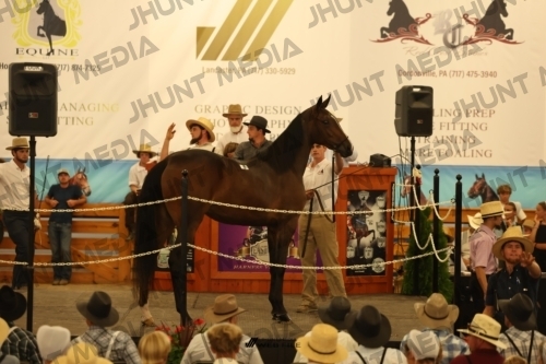 JHM_0789