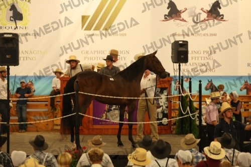 JHM_0791