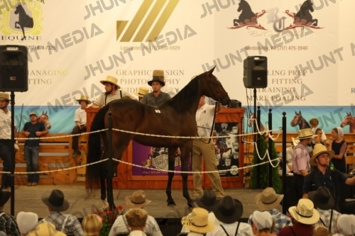 JHM_0792