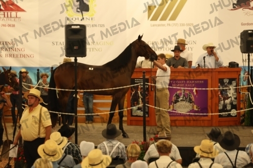 JHM_0793