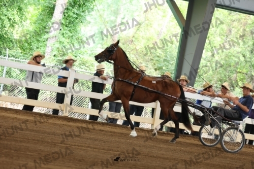 JHM_0261