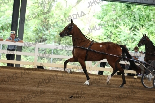 JHM_0293