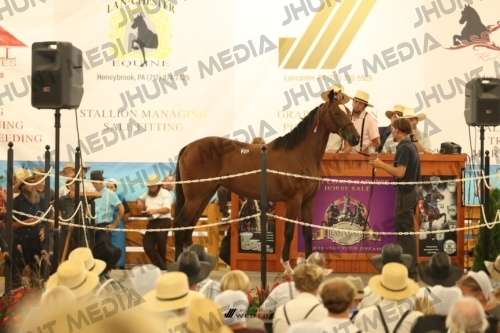 JHM_1174