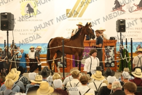 JHM_1176
