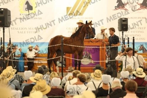 JHM_1179