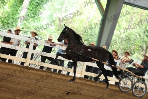 JHM_0224