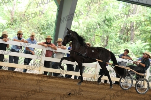 JHM_0234