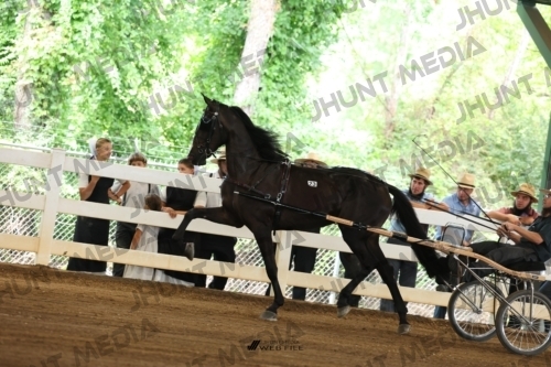JHM_0235