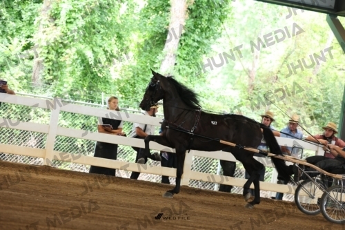 JHM_0244