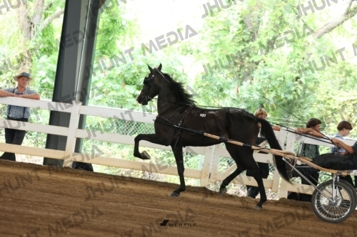 JHM_0256