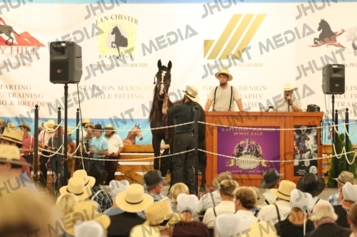 JHM_1149