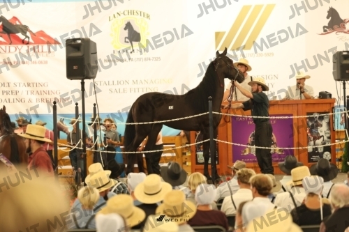 JHM_1152
