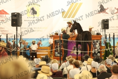 JHM_1153