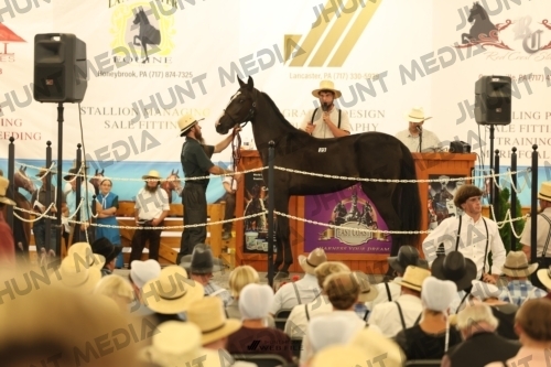 JHM_1156