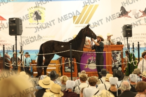 JHM_1159