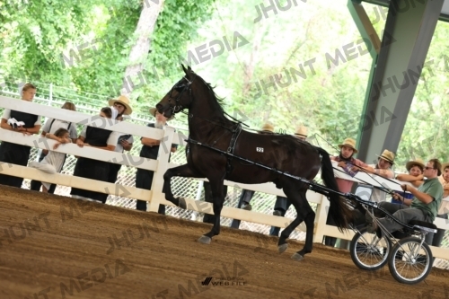 JHM_0201