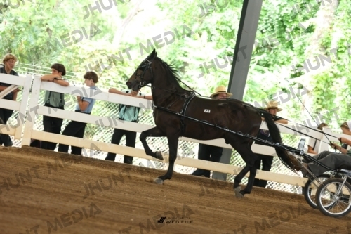 JHM_0221