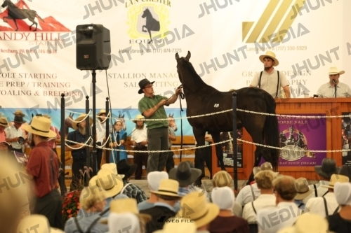 JHM_1141