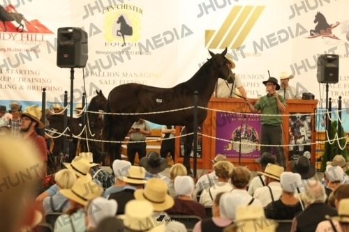 JHM_1144