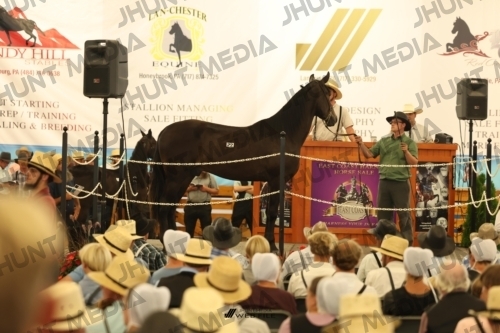 JHM_1145