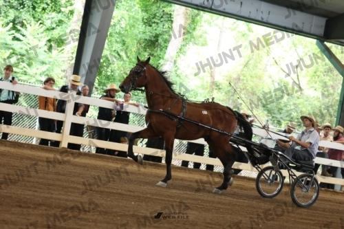 JHM_0324
