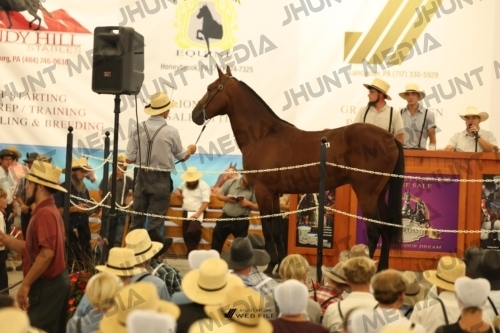 JHM_1129
