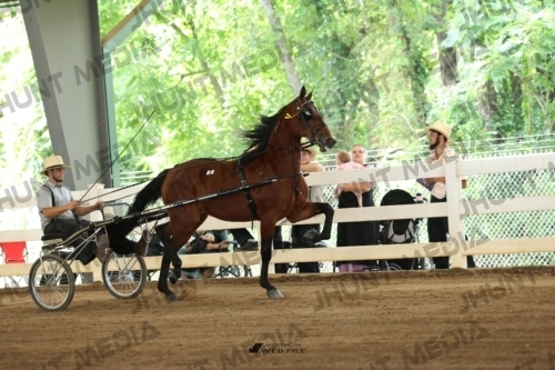 JHM_0719