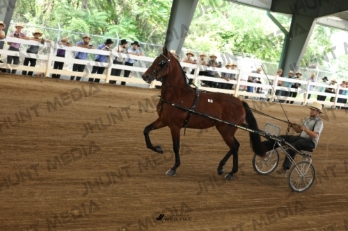 JHM_0727