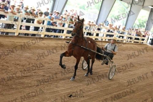 JHM_0728